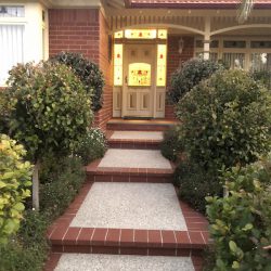 Entry Pathway with Shrubs