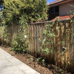 Pebbled Garden Bed