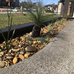 Pebbled Garden Front Yard